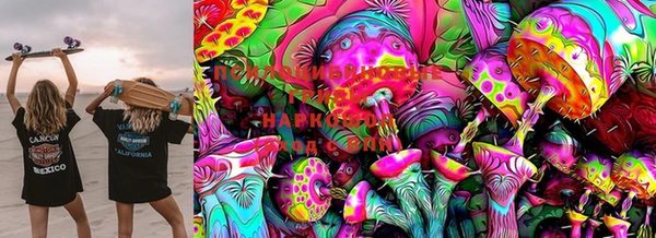 ECSTASY Елизово