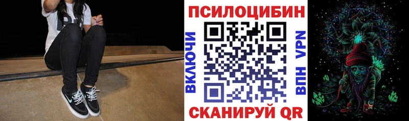 KRAKEN зеркало  Копейск  Галлюциногенные грибы прущие грибы 
